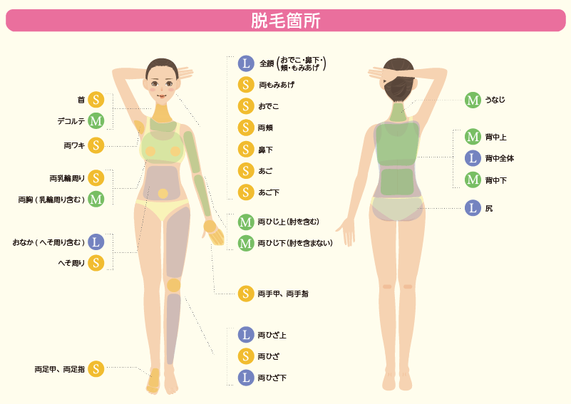 脱毛箇所のご案内